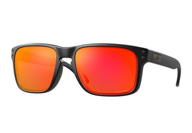Sluneční brýle Oakley Holbrook OO9102-E2