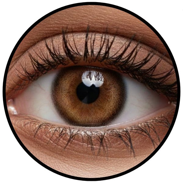 Phantasee Fashion - Design Brown (2 čočky tříměsíční) - nedioptrické