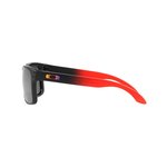 Sluneční brýle Oakley Holbrook OO9102-D3 - polarizační